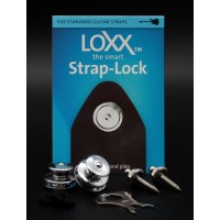 Load image into Gallery viewer, Loxx Music Box Standard Strap Locks - Chrome
