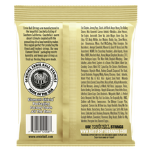 Load image into Gallery viewer, Ernie Ball Ew 2008 80/20 Bronze R&B Set 10-52