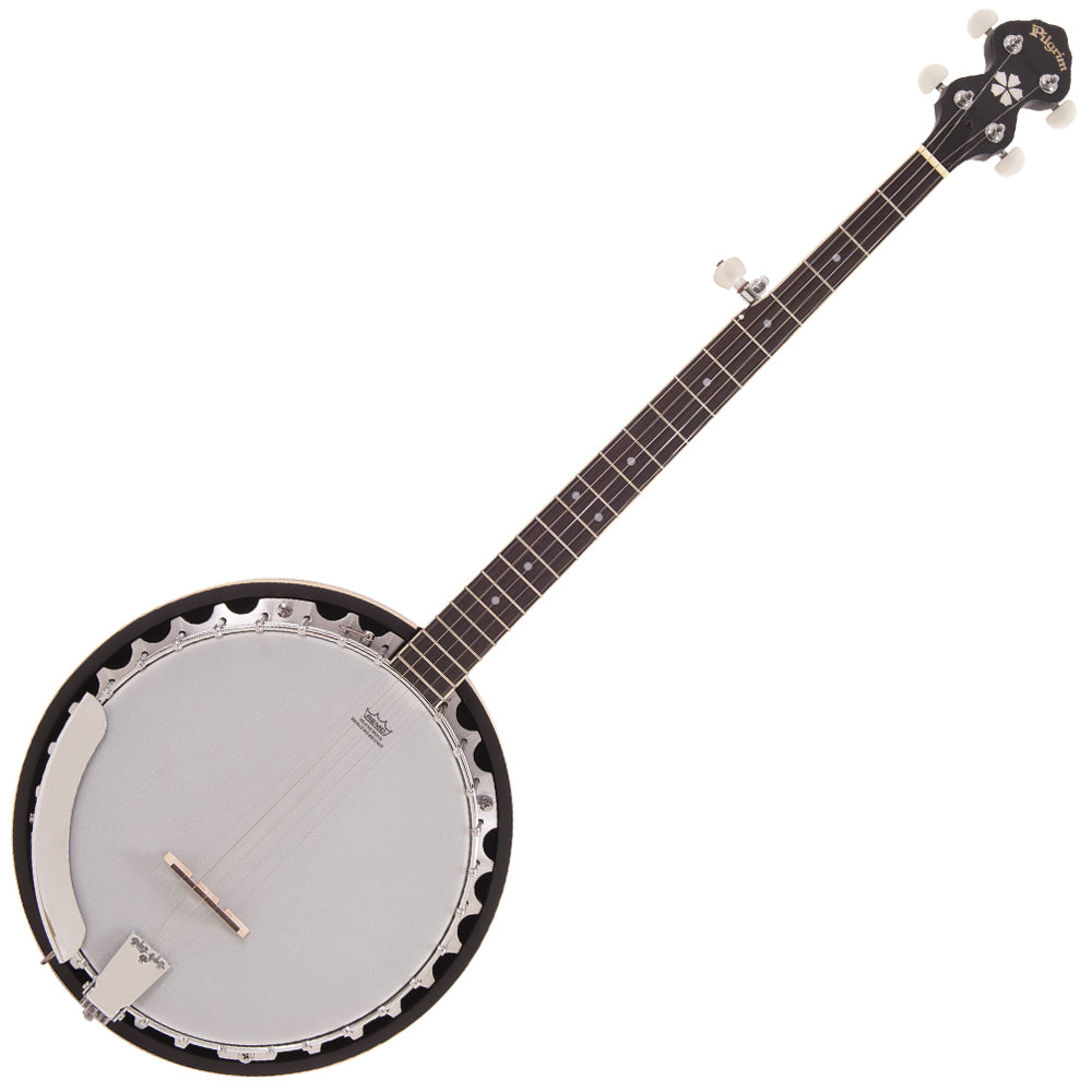 Other Stringed Instruments