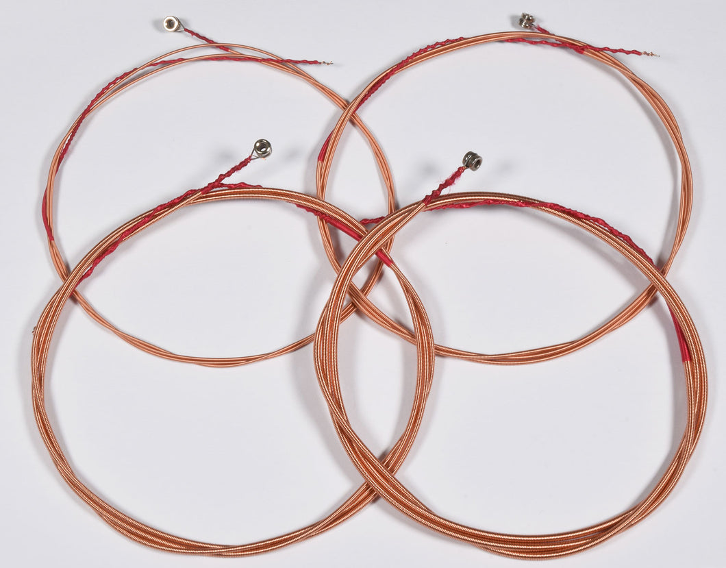 Chord Acoustic Bass String Set 40-95