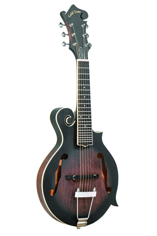 Gold Tone Mandolin Guitar+Pickup+Case