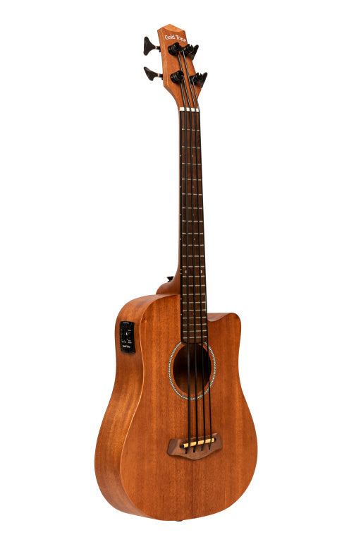 Gold Tone Electro-Acoustic Micro Bass 23