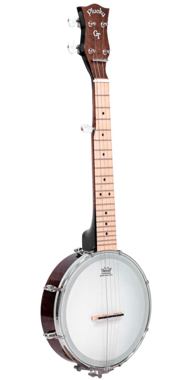 Gold Tone Traveler Banjo+Bag