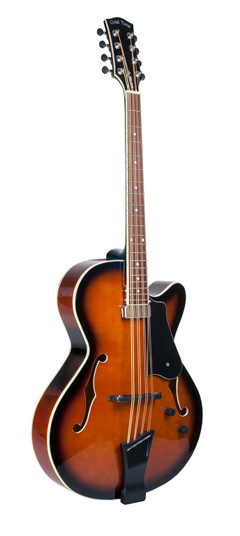 Gold Tone Mandocello Guitar+Pickup+Case