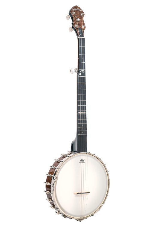 Gold Tone 5 String Open Back 11