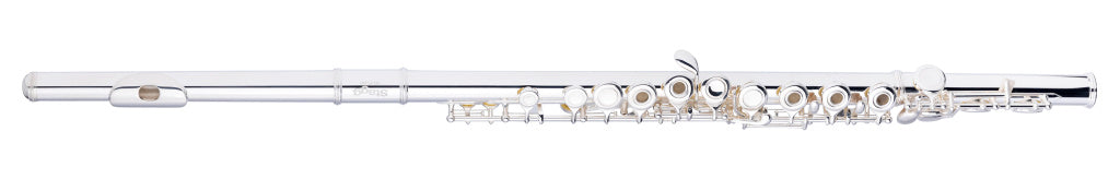 Stagg C Flute,Mec E,Open Holes + Soft Case
