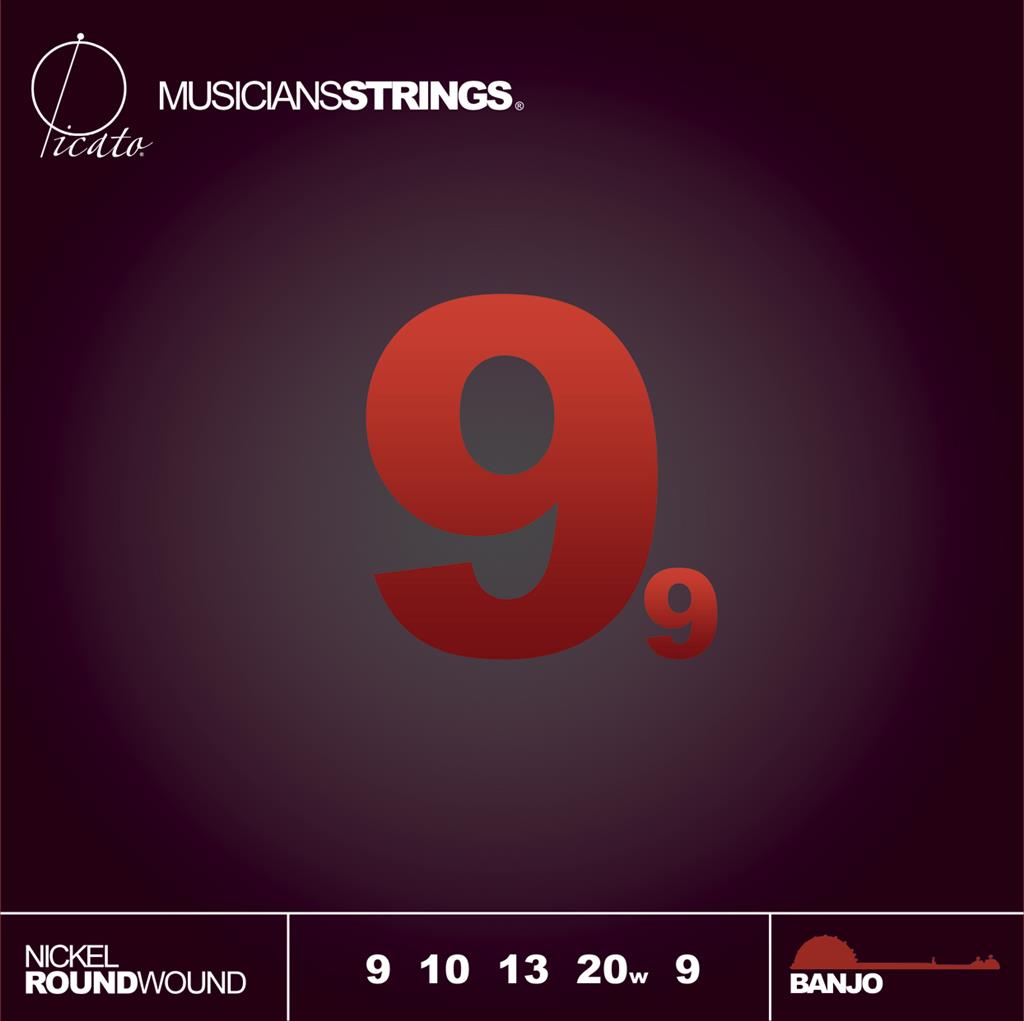 Picato Nickel 5 Banjo 9-20 Set