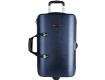 Protec Single / Double / Triple Horn ZIP Case (Blue BLT301TBX)