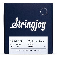 Stringjoy Signatures | Bass VI Balanced Heavy Gauge (26-95) Nickel Wound Guitar Strings
