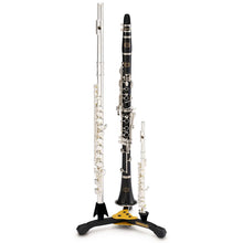 Load image into Gallery viewer, Hercules Flute Pic &amp; Clarinet Stand/Bag
