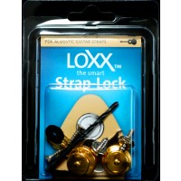 Load image into Gallery viewer, Loxx Music Box Acoustic Strap Locks - Gold
