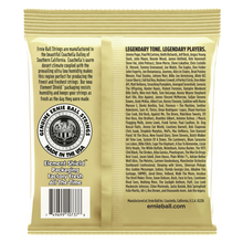 Load image into Gallery viewer, Ernie Ball Ew 2013 80/20 Bronze 12 String Set 10-48
