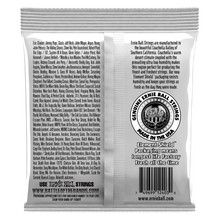 Load image into Gallery viewer, Ernie Ball Ep 2403 Nylon Clear&amp;Silver Set

