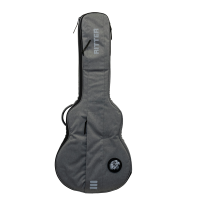 Load image into Gallery viewer, Ritter Carouge 335 Style Semi Guitar Bag - Elephant Grey (RGC3-SA)
