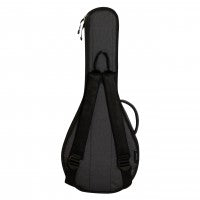 Load image into Gallery viewer, Ritter Davos A/F Mandolin Bag - Anthracite (RGD2-MA)
