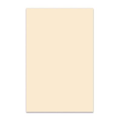 0.73 mm tortex plecs yellow (72) pkt