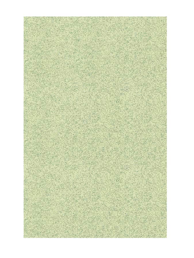 Pickguard material, 2 ply, 45x29cm, sparkling champagne