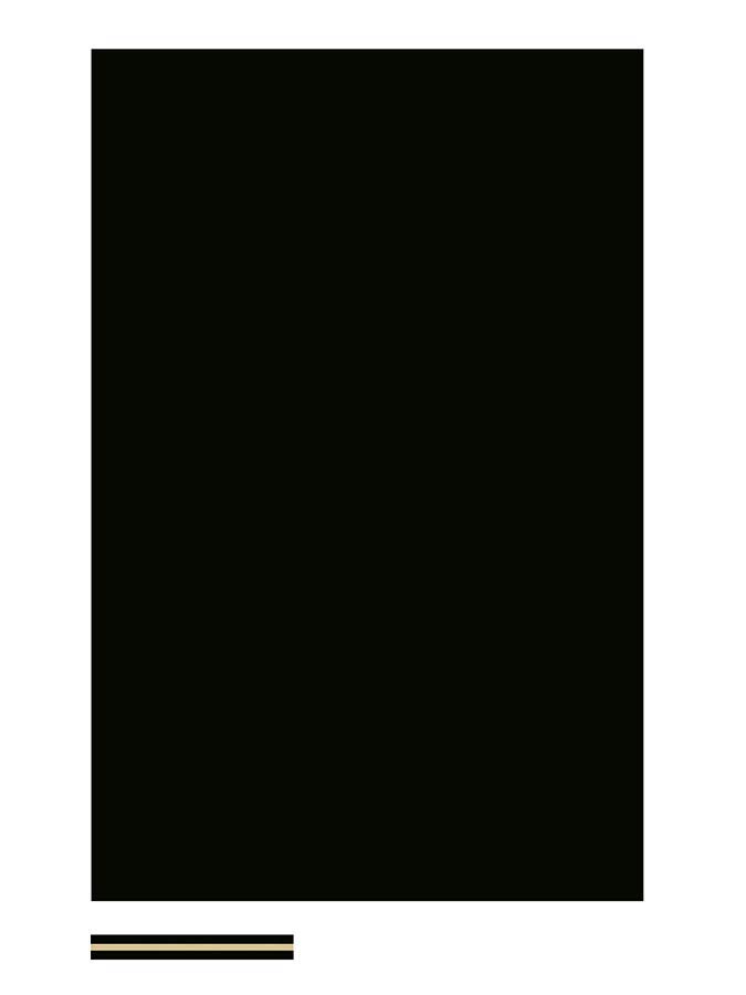 Pickguard material, 3 ply, 45x29cm, black & cream