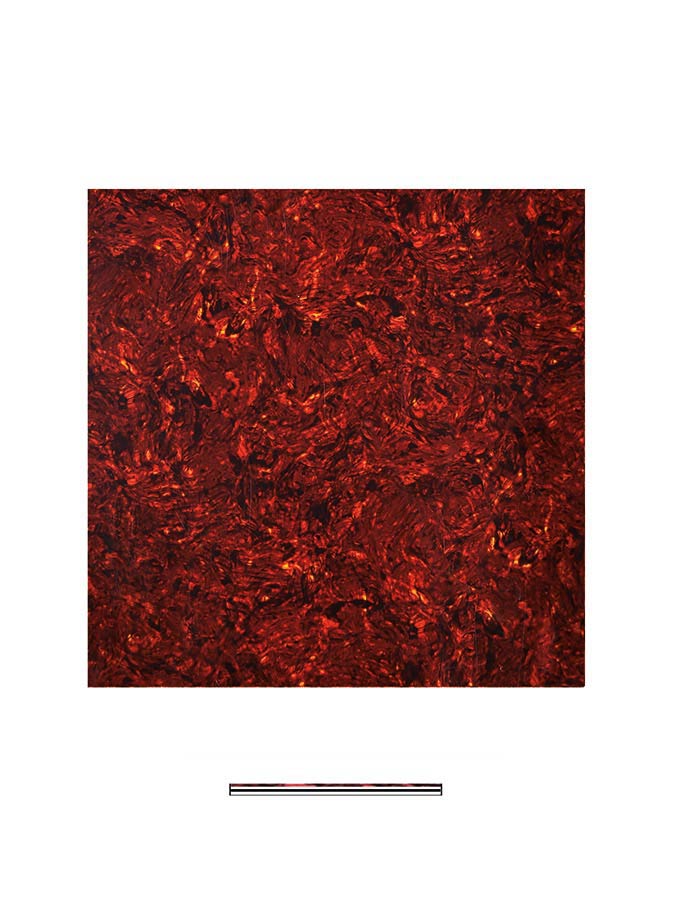 Pickguard material, 4 ply, 30x29cm, tortoise intense