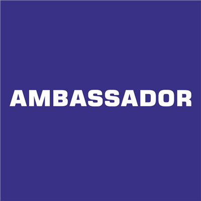 Ambassador Monel 1163 1/4 - 1/2 Violin 'D' 3rd