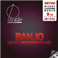 Picato 87Xl Nickel 6 Banjo 9-42 Loopend Set