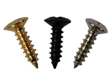 Load image into Gallery viewer, Pickguard screws
