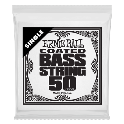 Ernie Ball .050