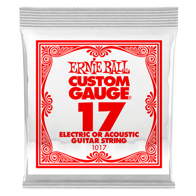 Ernie Ball .017 Plain Ballend