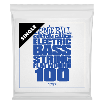 Ernie Ball .100 Stainless Steel Flatwound Bass