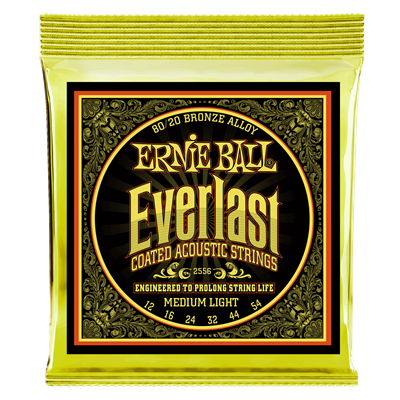 Ernie Ball 80/20 Bronze Everlast Coated Medium/Light 12-54