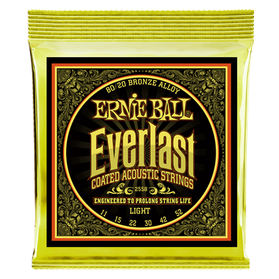 Ernie Ball 80/20 Bronze Everlast Coated Light Set 11-52