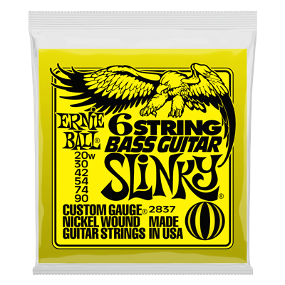 Ernie Ball 6 String Slinky Bass Guitar 20-90