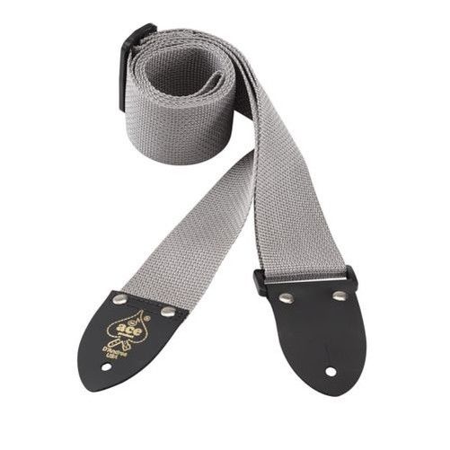 D'Andrea 2 Inch Polyweb Strap - Silver